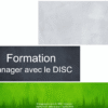Formation Manager avec le DISC