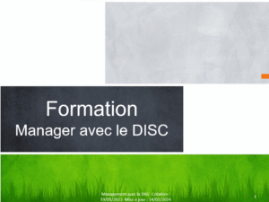 Formation Manager avec le DISC